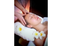 �g�[�^�������p�P�A�E�T����s.e.n.s