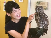 킹ԃtNEJtF Country Owl