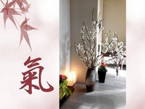 �؂̈Ᶎ���Ïp�@