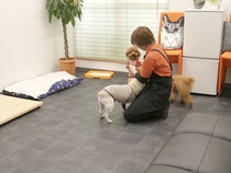 <small>`L̏hEꏈ`</small> 񂶂