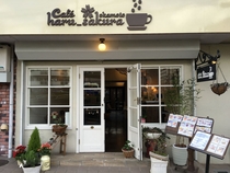 Cafe haru_sakura okamoto

