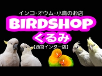 BIRD SHOP 